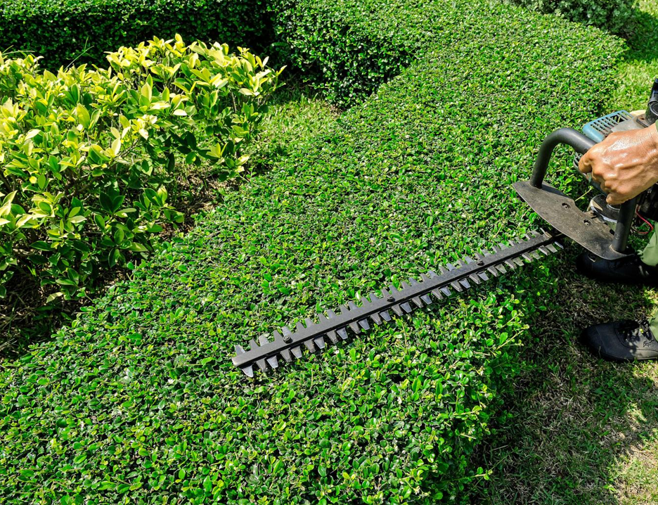 Entretien d'espaces verts en Haute-Garonne